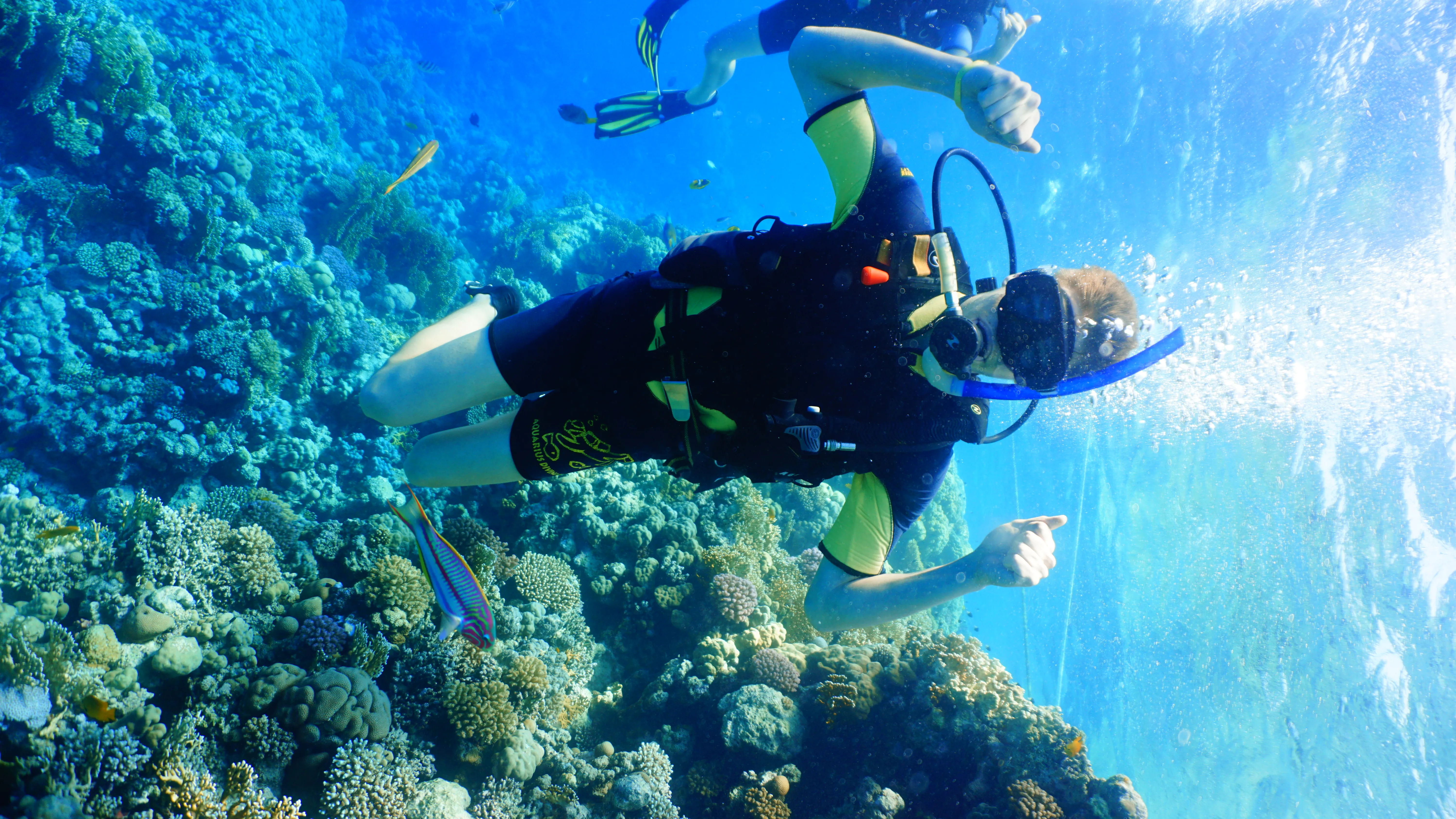 Tauchausflug in Hurghada diving-trip-in-hurghada/DSC00999.JPG