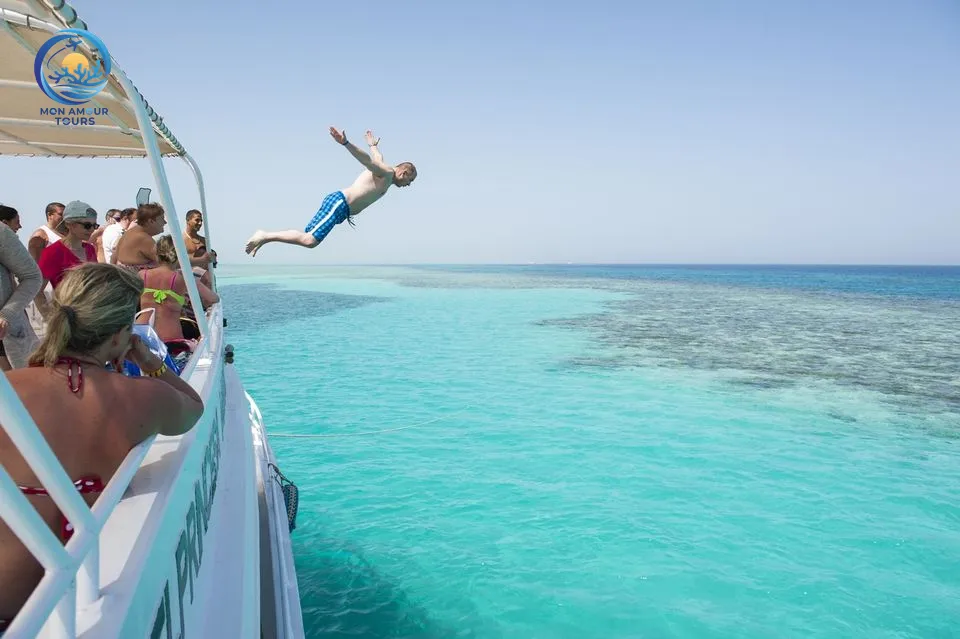 Dolphin House ( La Maison des Dauphins)