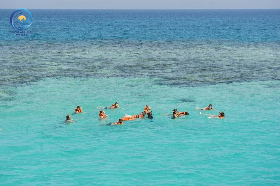 Dolphin House ( La Maison des Dauphins) dolphin-house-snorkeling-adventure/tour_img-1054160-145.jpg