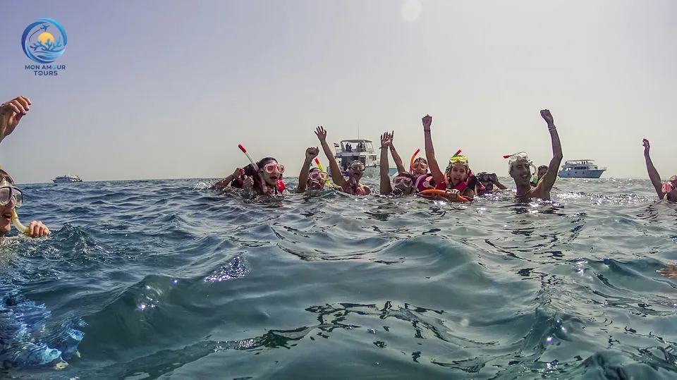 Dolphin House ( La Maison des Dauphins) dolphin-house-snorkeling-adventure/tour_img-1054346-145.jpg